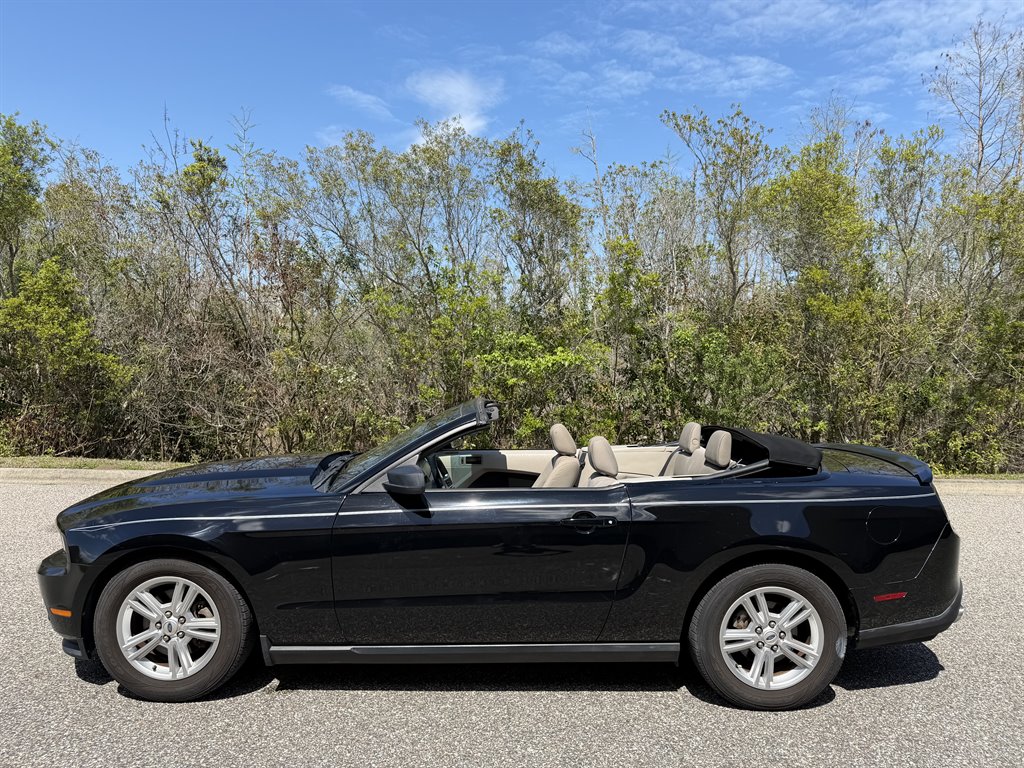 2011 Ford Mustang's photo